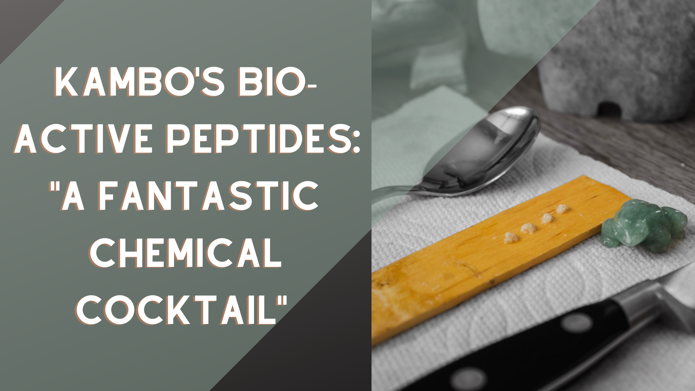 Blog post photo for Kambo Bio-Active Peptides; 'A Fantastic Chemical Cocktail'
